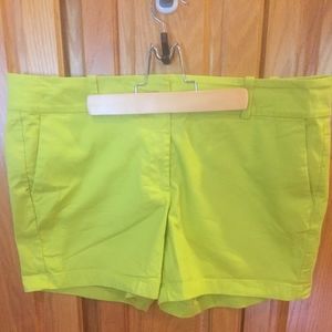 Ann Taylor Shorts
